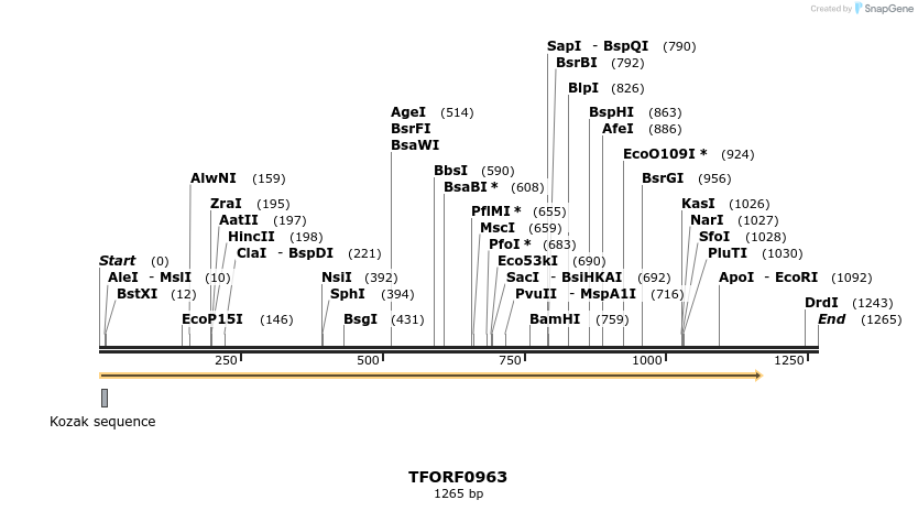 281393_map