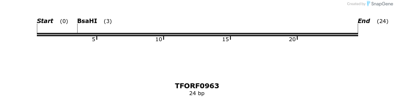 281394_map