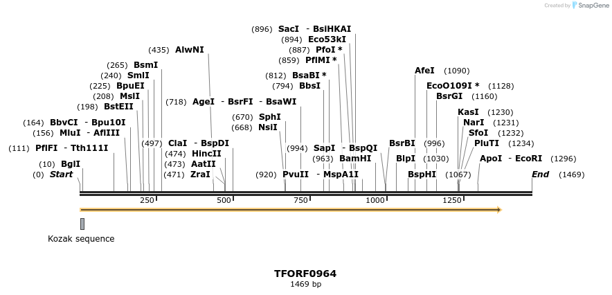 281396_map