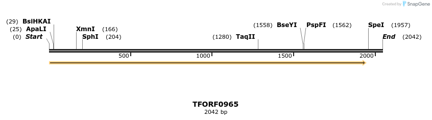 281399_map