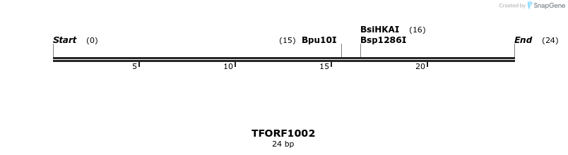 281403_map
