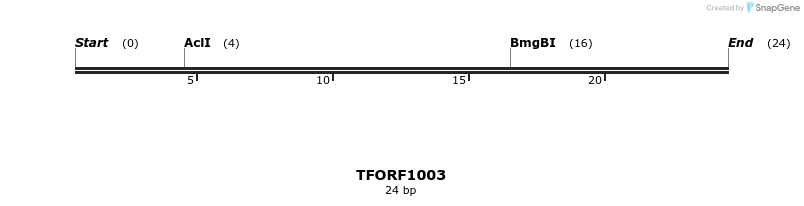281406_map