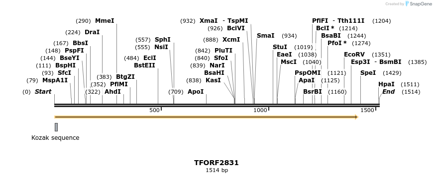 281408_map