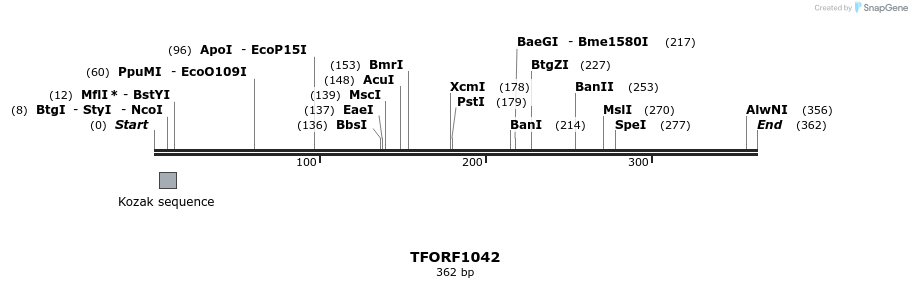 281411_map