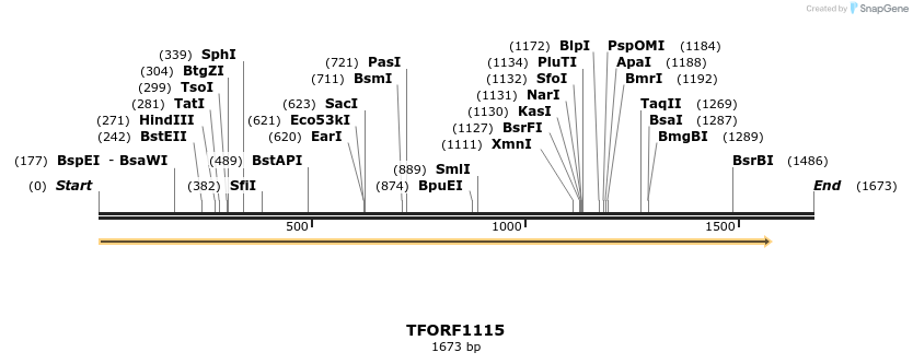 281414_map