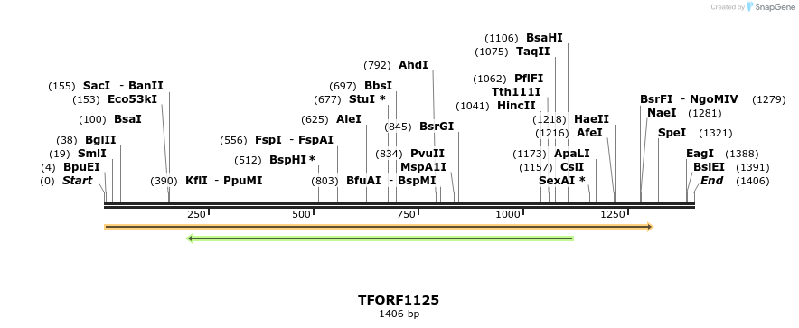 281417_map