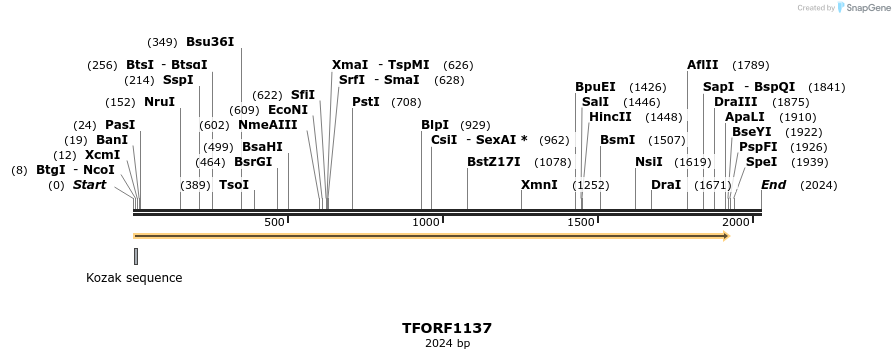 281420_map