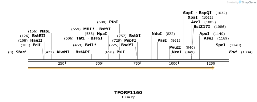 281423_map