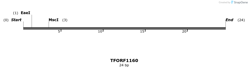281424_map