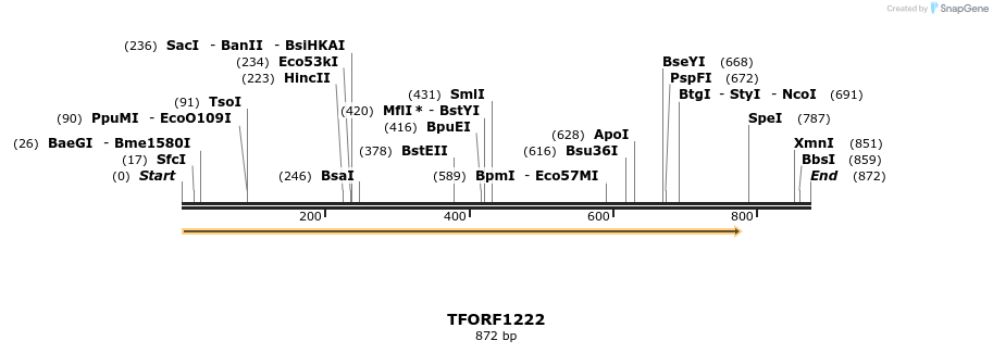 281426_map