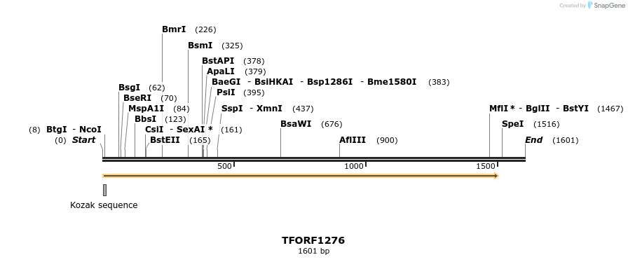281429_map