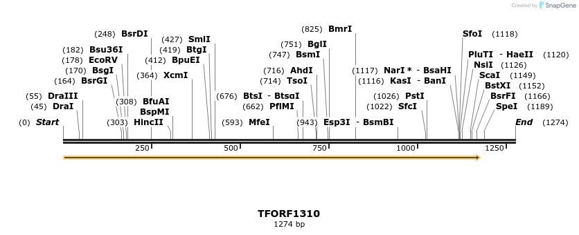 281432_map