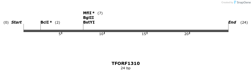 281433_map