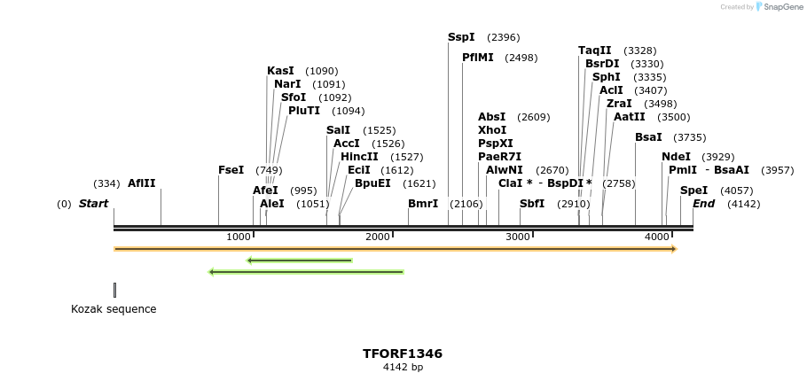 281435_map