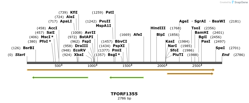 281438_map