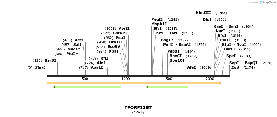 281441_map