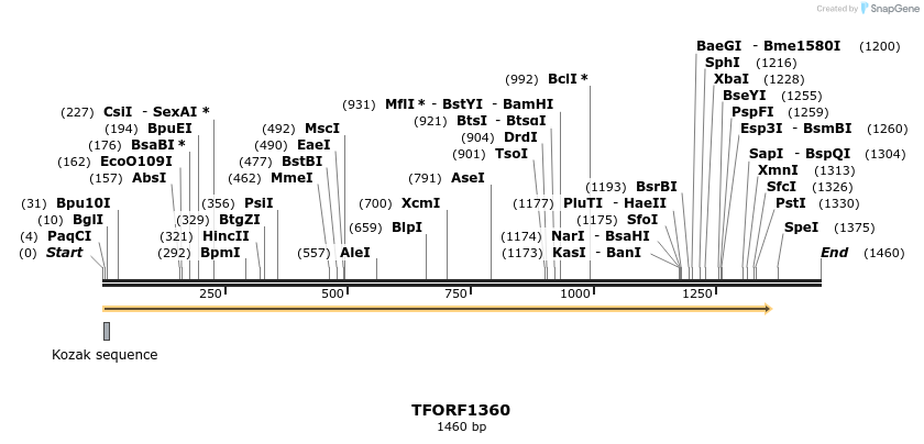 281444_map