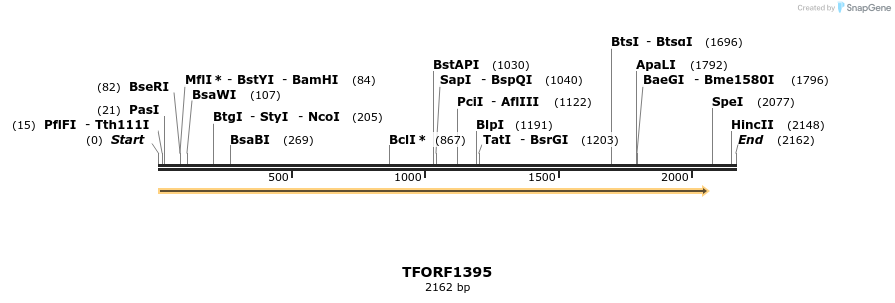 281456_map