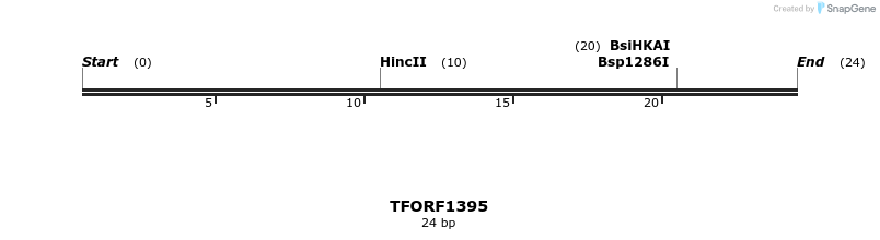 281457_map
