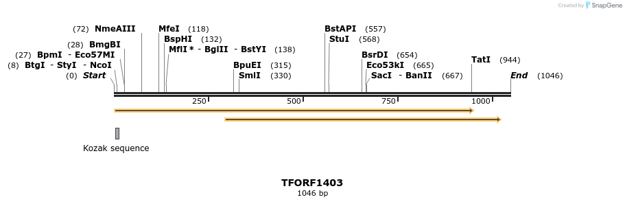 281459_map