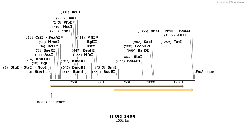 281462_map
