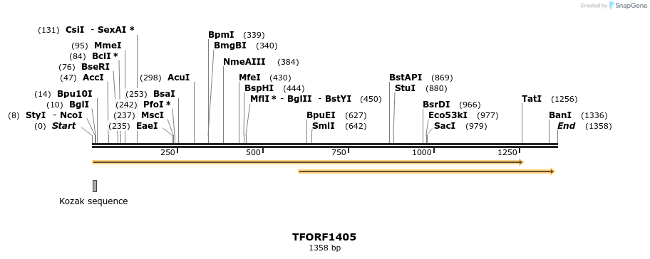 281465_map