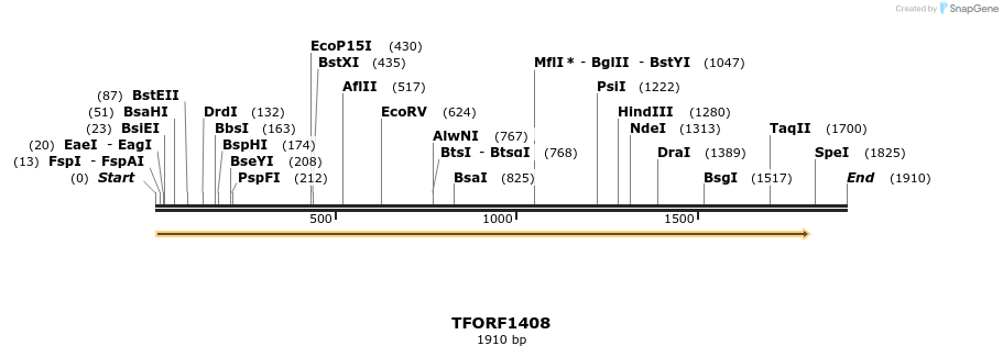 281468_map