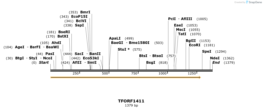 281471_map