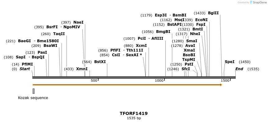 281474_map