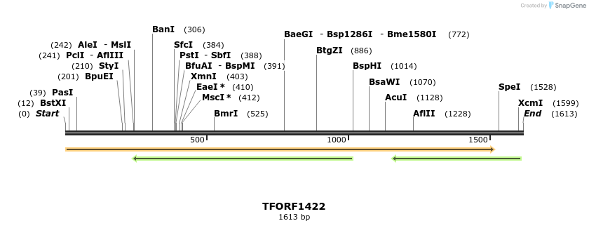 281477_map