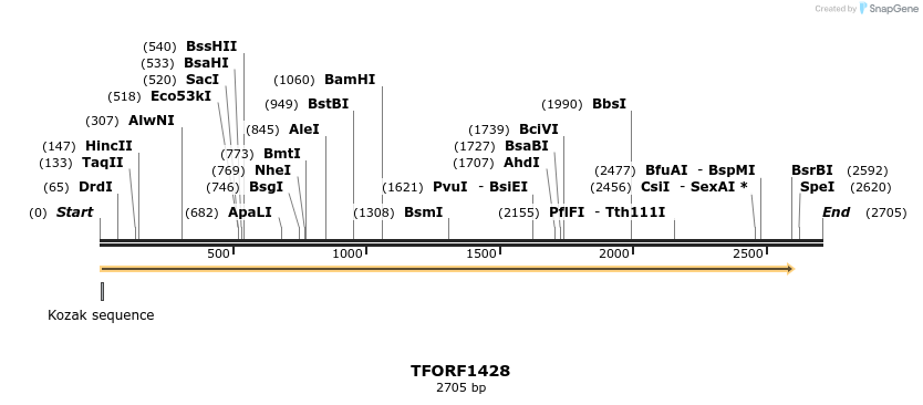 281480_map