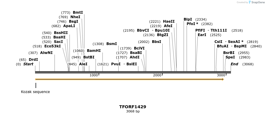 281483_map
