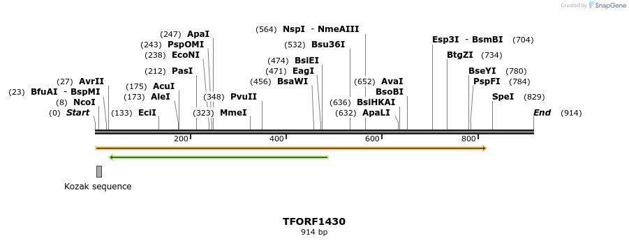 281486_map