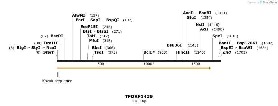 281489_map