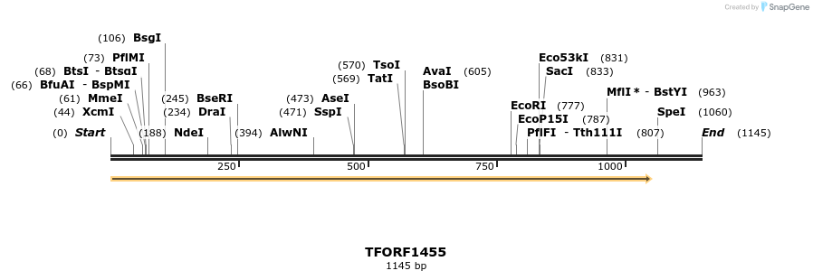 281492_map