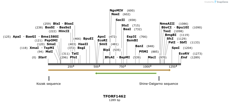 281495_map