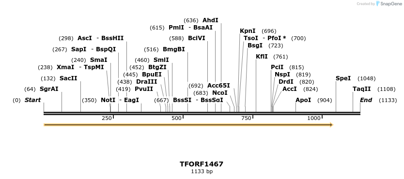 281498_map