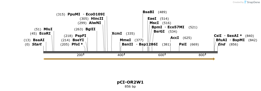 28150_map