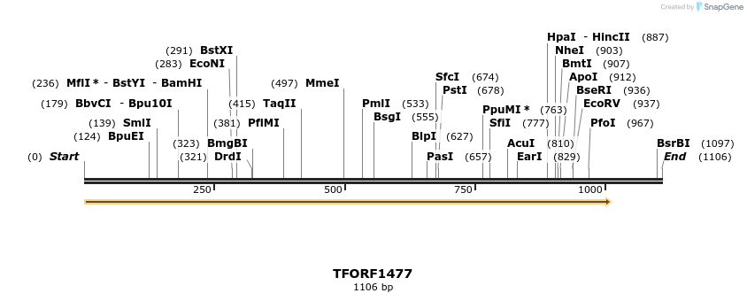 281501_map