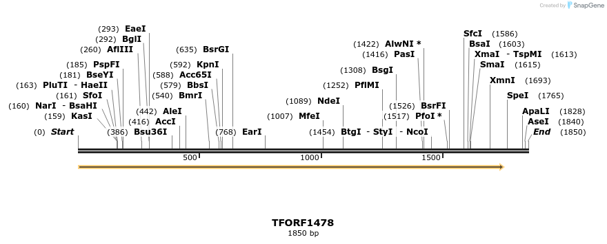 281504_map