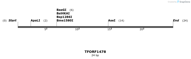 281505_map