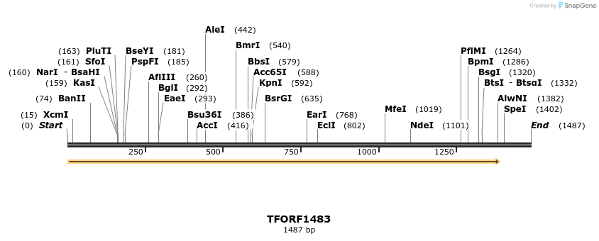 281507_map