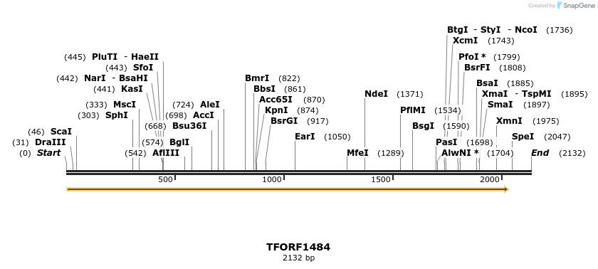 281510_map