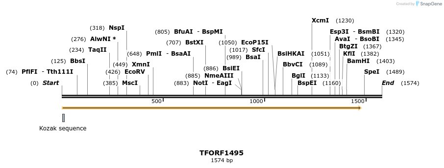 281513_map