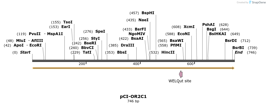 28152_map