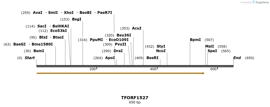 281522_map