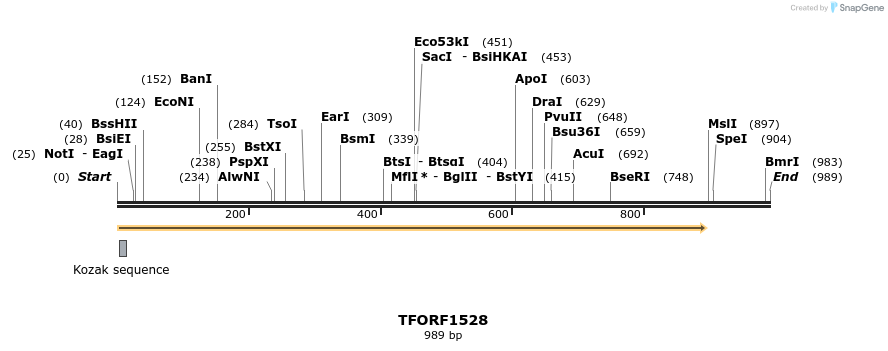 281525_map