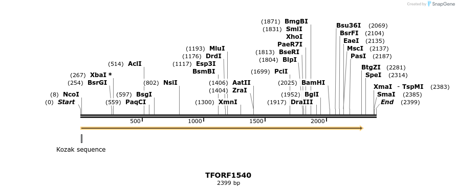 281528_map