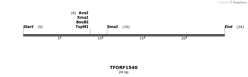 281529_map