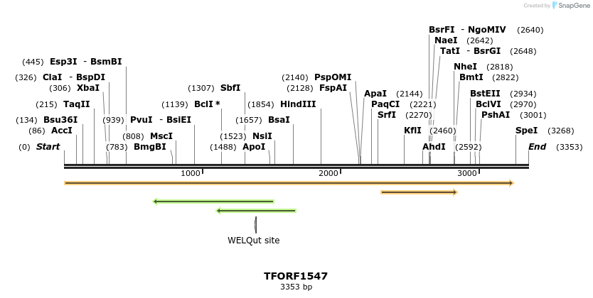 281531_map